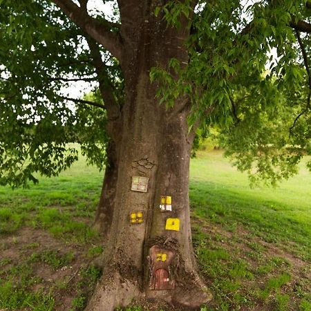 All'Ombra Del Bagolaro Taglio di Po Zewnętrze zdjęcie