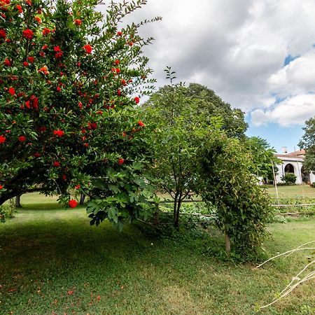 All'Ombra Del Bagolaro Taglio di Po Zewnętrze zdjęcie