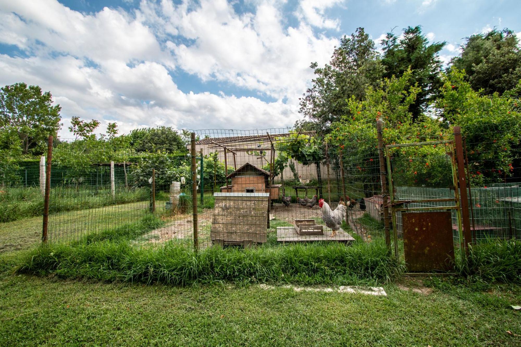 All'Ombra Del Bagolaro Taglio di Po Zewnętrze zdjęcie
